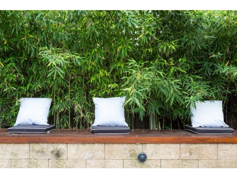 4 Miller Street, Unley SA 5061