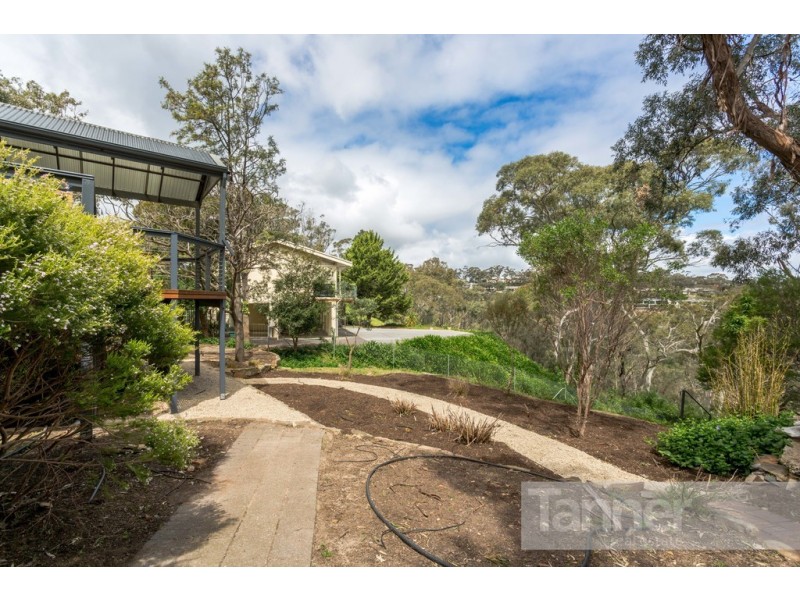 13 Aerial Road, Belair SA 5052