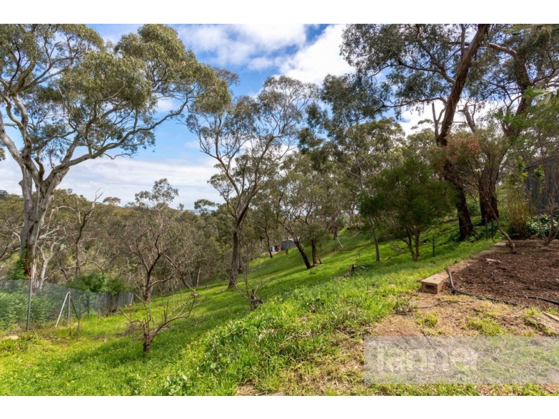 13 Aerial Road, Belair SA 5052