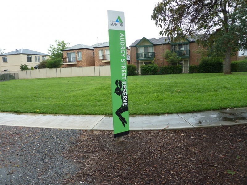 2/31 Audrey Street, Ascot Park SA 5043