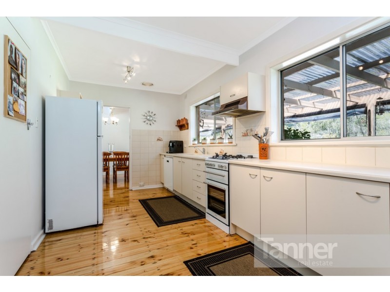 35 Meadow Avenue, Hawthorndene SA 5051