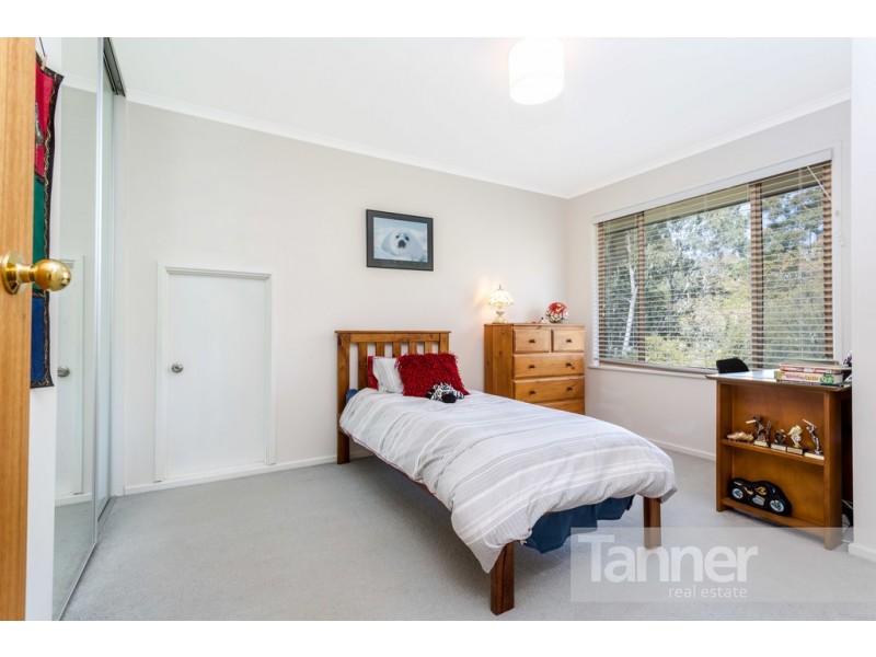 35 Meadow Avenue, Hawthorndene SA 5051