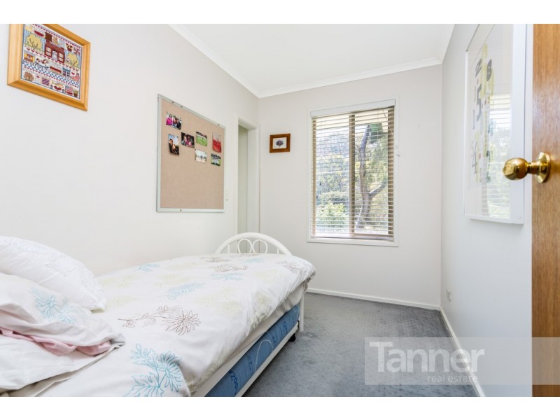 35 Meadow Avenue, Hawthorndene SA 5051