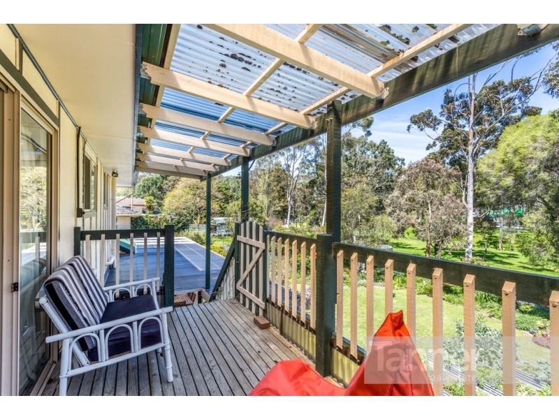 35 Meadow Avenue, Hawthorndene SA 5051