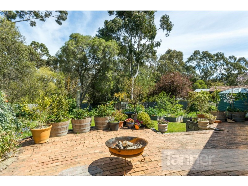 35 Meadow Avenue, Hawthorndene SA 5051