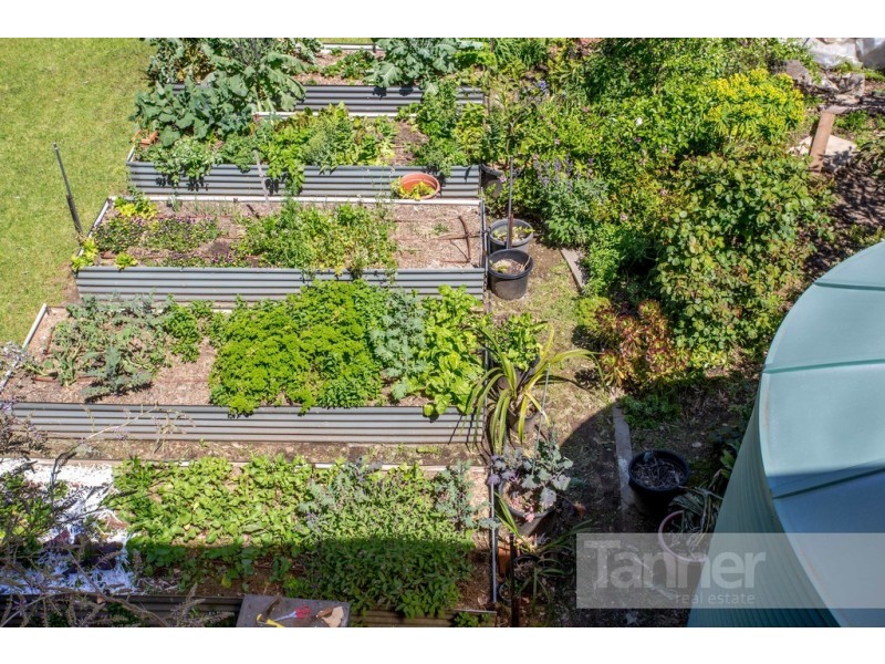 35 Meadow Avenue, Hawthorndene SA 5051