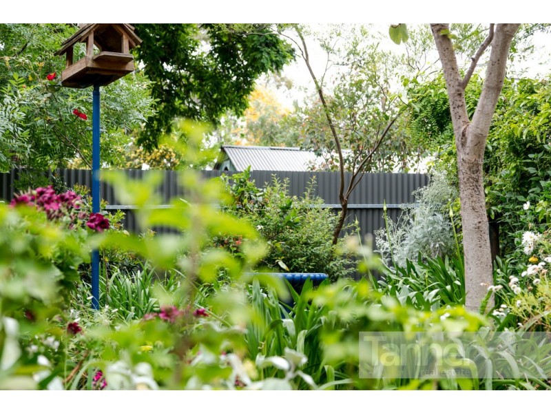 43 West Parkway, Colonel Light Gardens SA 5041