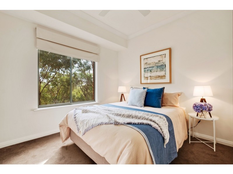 19 Miller Terrace, Blackwood SA 5051