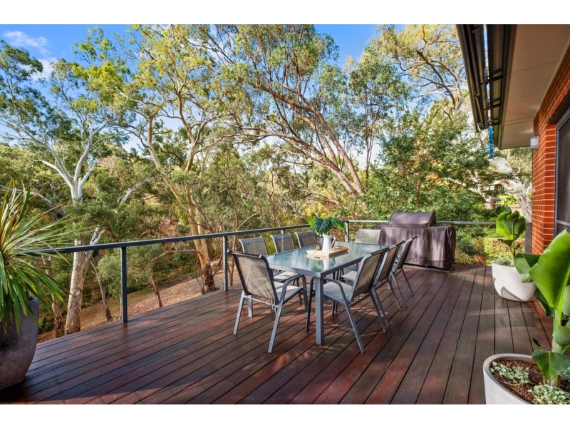 19 Miller Terrace, Blackwood SA 5051