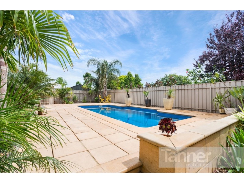 57 Edward Street, Daw Park SA 5041