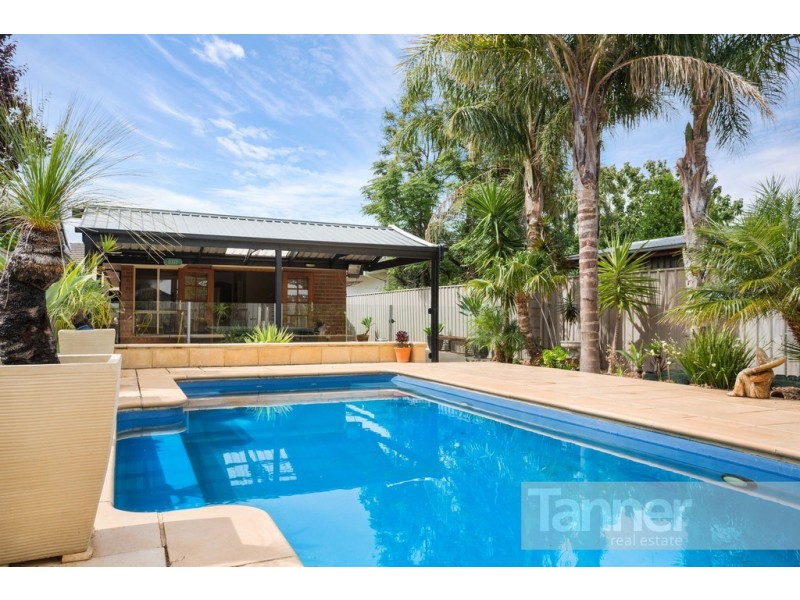 57 Edward Street, Daw Park SA 5041