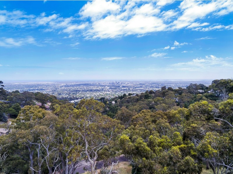 41 Mount Osmond Road, Mount Osmond SA 5064