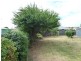 27 Deepdene Ave, Mitchell Park SA 5043