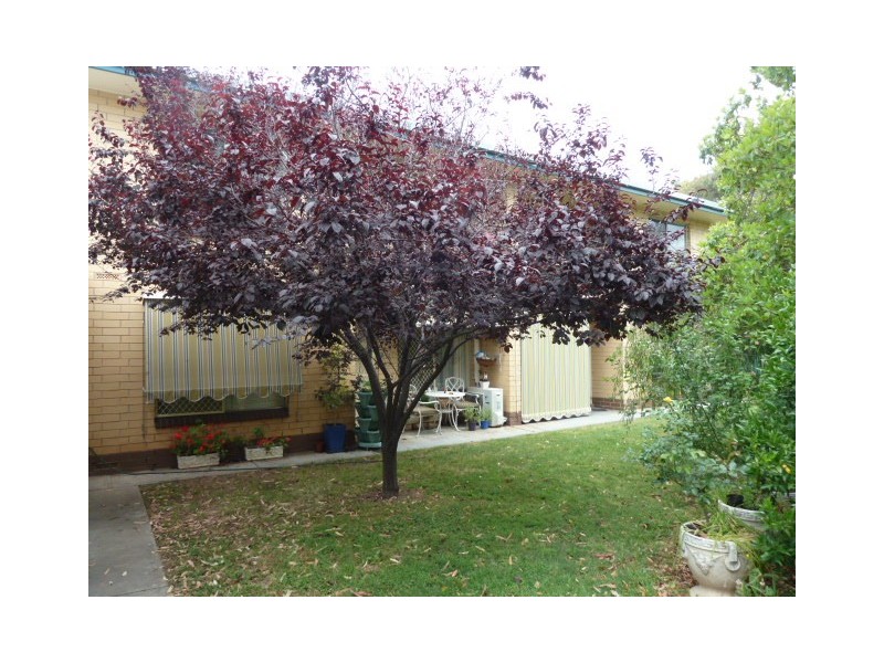 9/141 Cross Road, Westbourne Park SA 5041