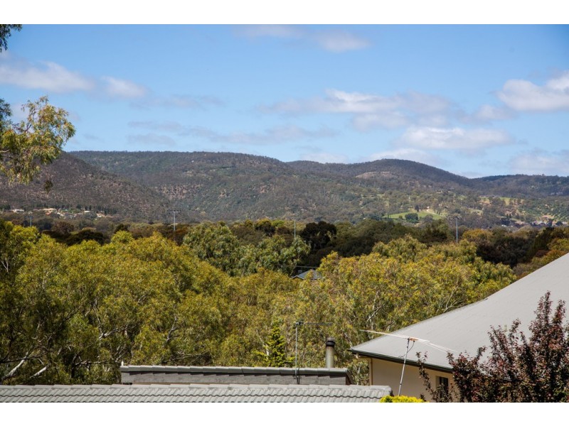 32 Sassafras Drive, Highbury SA 5089