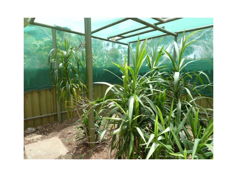 16 Christopher Road, Christie Downs SA 5164