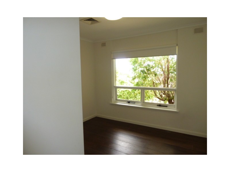 19 Barcroft Street, Pasadena SA 5042