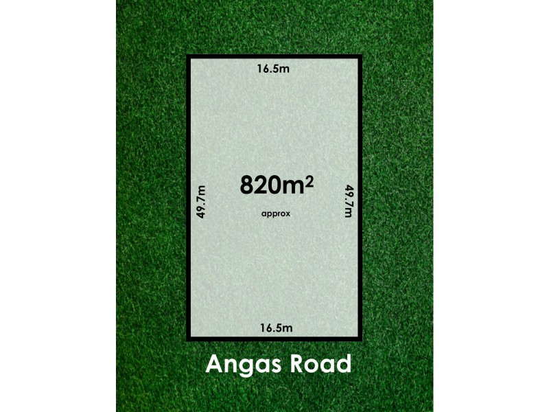79 Angas Road, Westbourne Park SA 5041