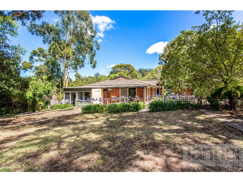 16 Shepherd Court, Coromandel Valley SA 5051