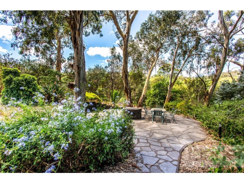 16 Shepherd Court, Coromandel Valley SA 5051