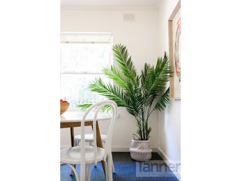 26A Murray Street, Clapham SA 5062