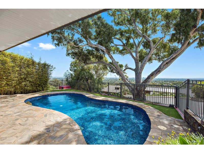 6 Cezanne Court, Torrens Park SA 5062