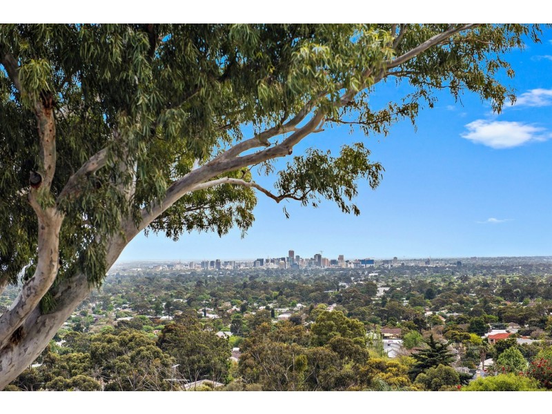 6 Cezanne Court, Torrens Park SA 5062