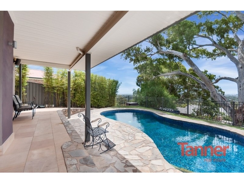 6 Cezanne Court, Torrens Park SA 5062