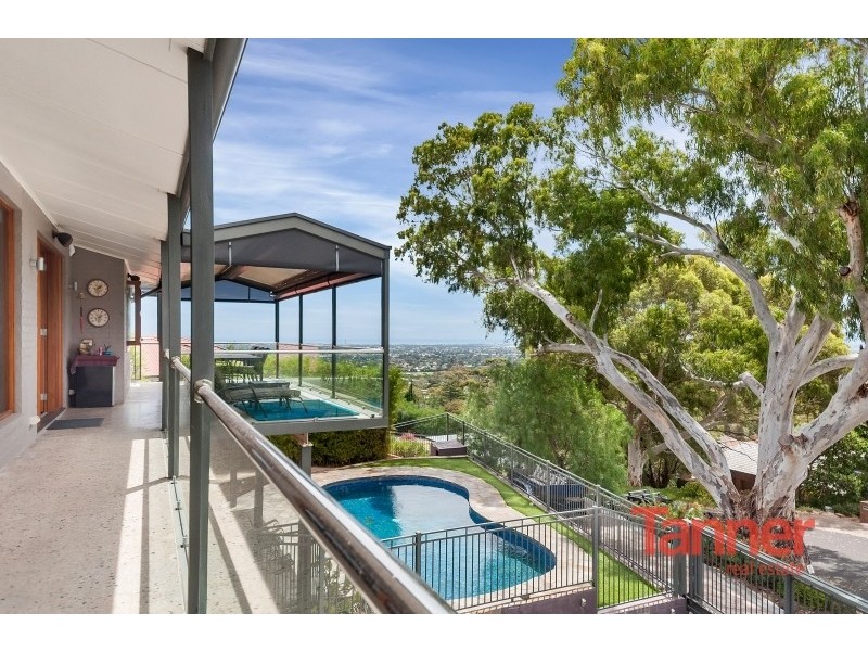 6 Cezanne Court, Torrens Park SA 5062