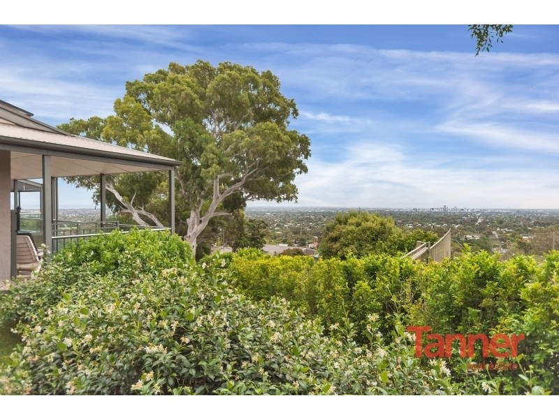 6 Cezanne Court, Torrens Park SA 5062