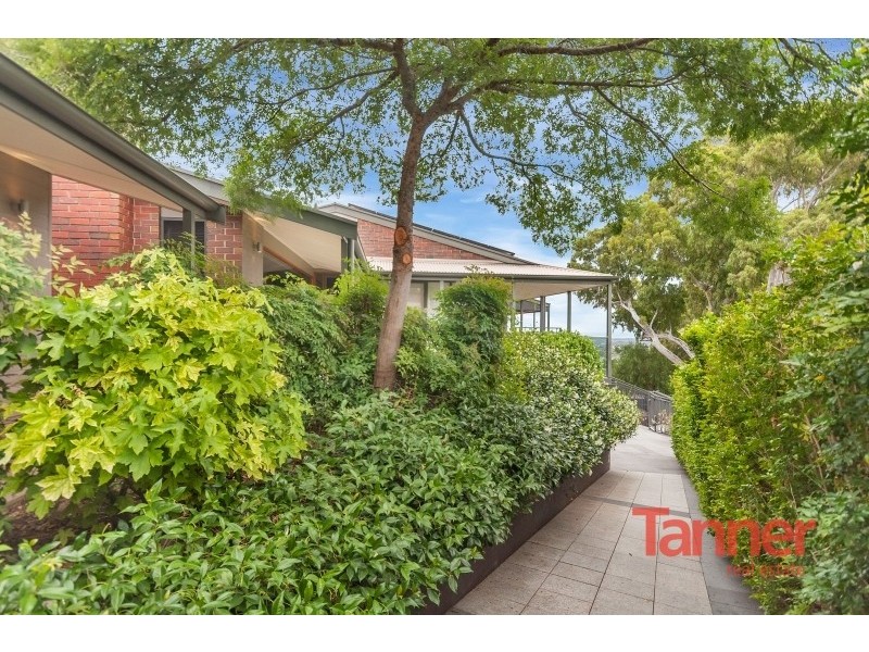 6 Cezanne Court, Torrens Park SA 5062