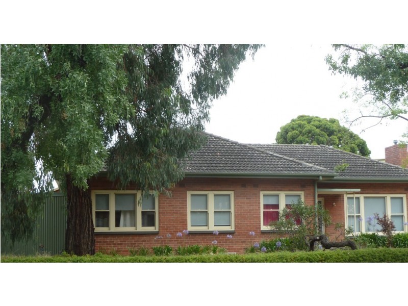 8 Bedford Square, Colonel Light Gardens SA 5041