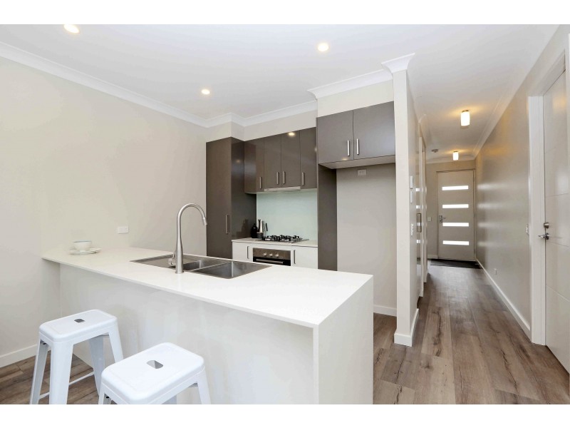 33 Andrea Ave, Newton SA 5074