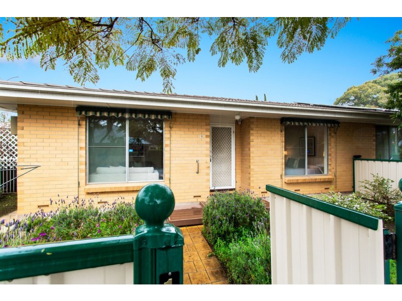 1/33 Francis Street, Clarence Park SA 5034