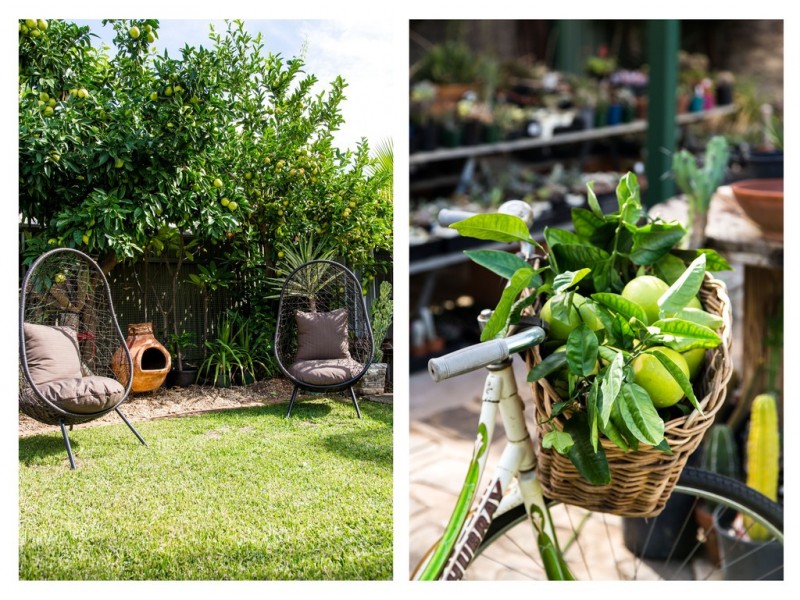 20 Dundee Road, Modbury SA 5092