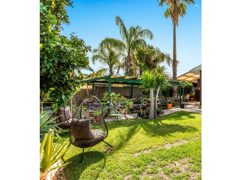 20 Dundee Road, Modbury SA 5092