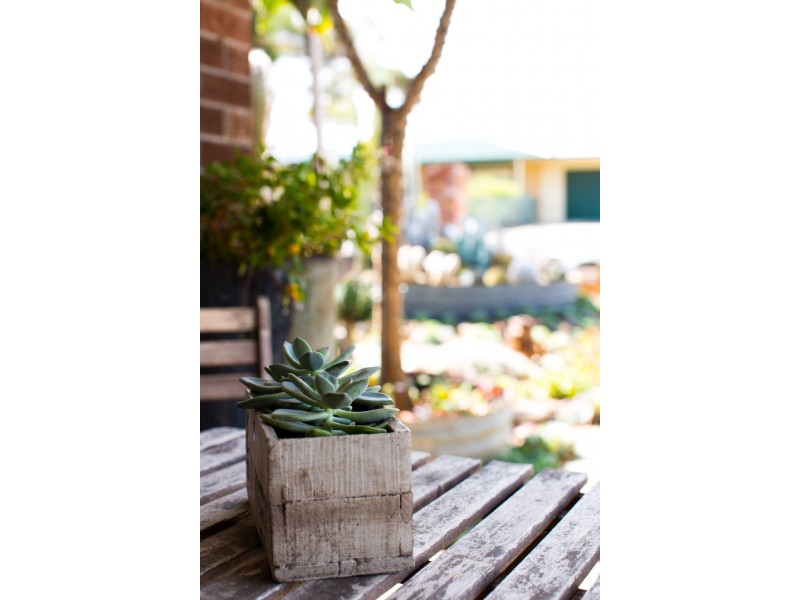 20 Dundee Road, Modbury SA 5092