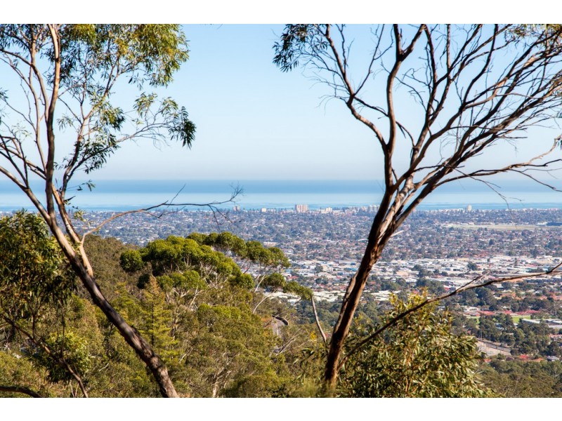 1 Marina Ave, Belair SA 5052