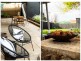19 Eton Street, Colonel Light Gardens SA 5041