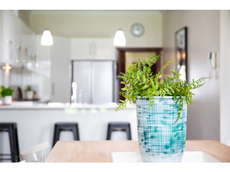 20 Hepburn Street, Broadview SA 5083