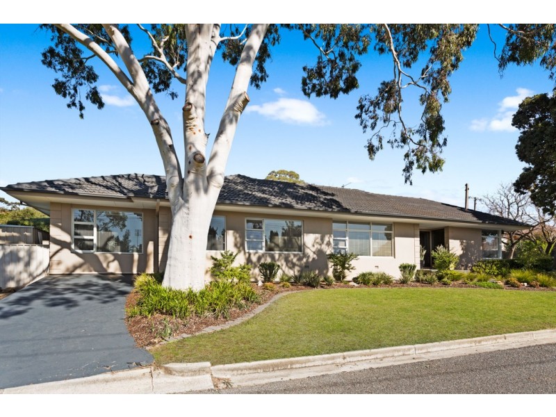 18 Bligh Avenue, Panorama SA 5041