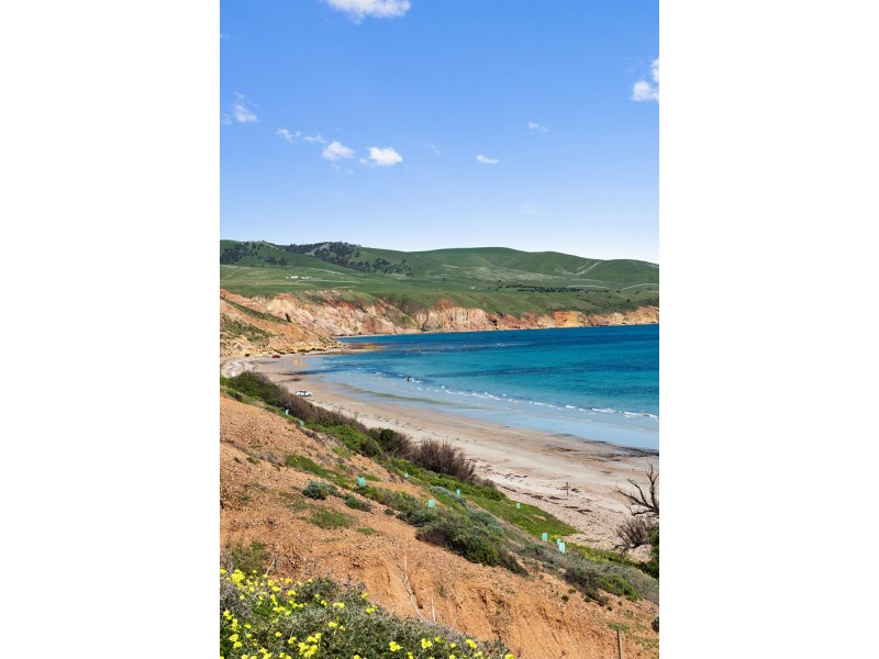 19 Plaza Avenue, Sellicks Beach SA 5174