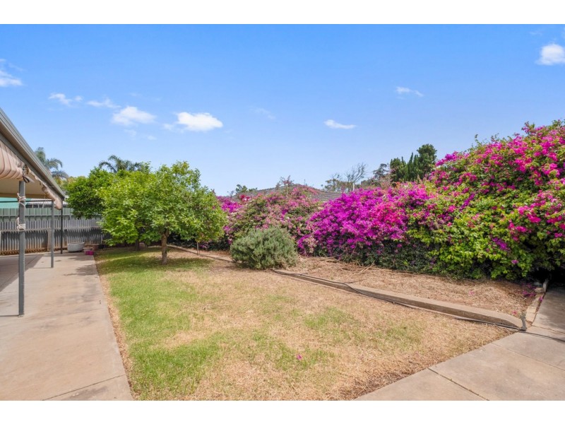 50 Finniss Street, Marion SA 5043