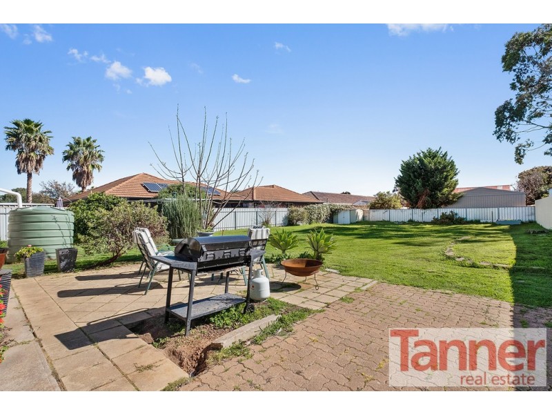 66 Dudley Avenue, Daw Park SA 5041