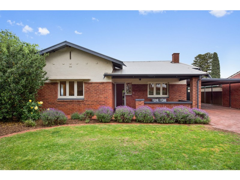 53 Angas Road, Hawthorn SA 5062