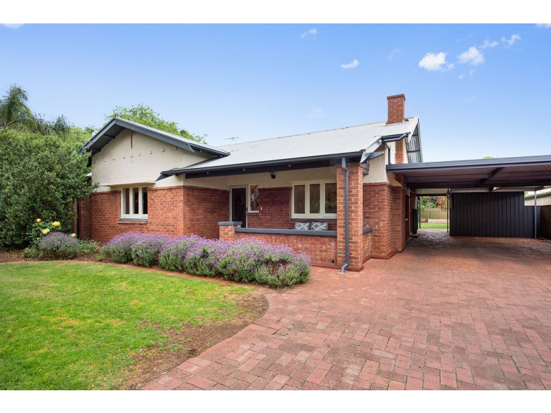 53 Angas Road, Hawthorn SA 5062