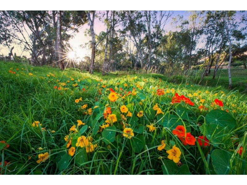 26 Vista Avenue, Valley View SA 5093