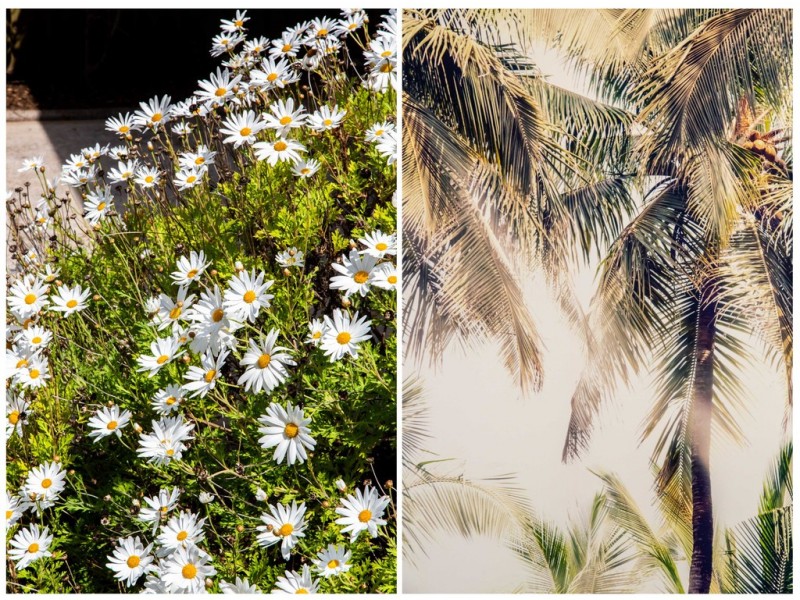 9 Roseberry Street, Daw Park SA 5041