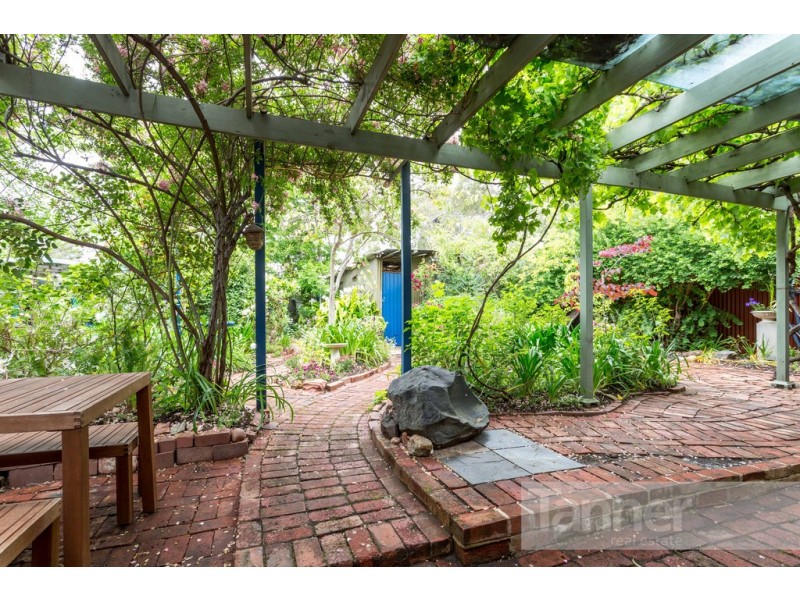 43 West Parkway, Colonel Light Gardens SA 5041