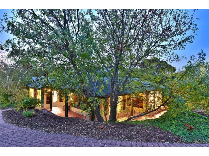 6 Songlark Grove, Flagstaff Hill SA 5159